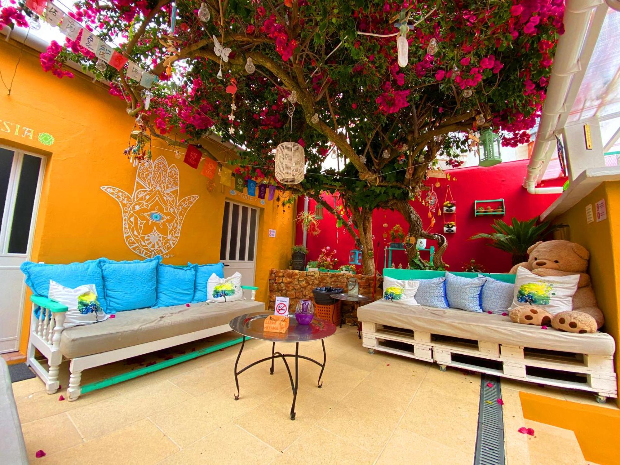 Orange Terrace Hostel Albufeira Dış mekan fotoğraf
